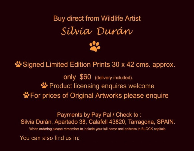 nueva_web_silvia008005.jpg