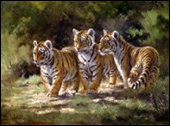 nueva_web_silvia019003.jpg
